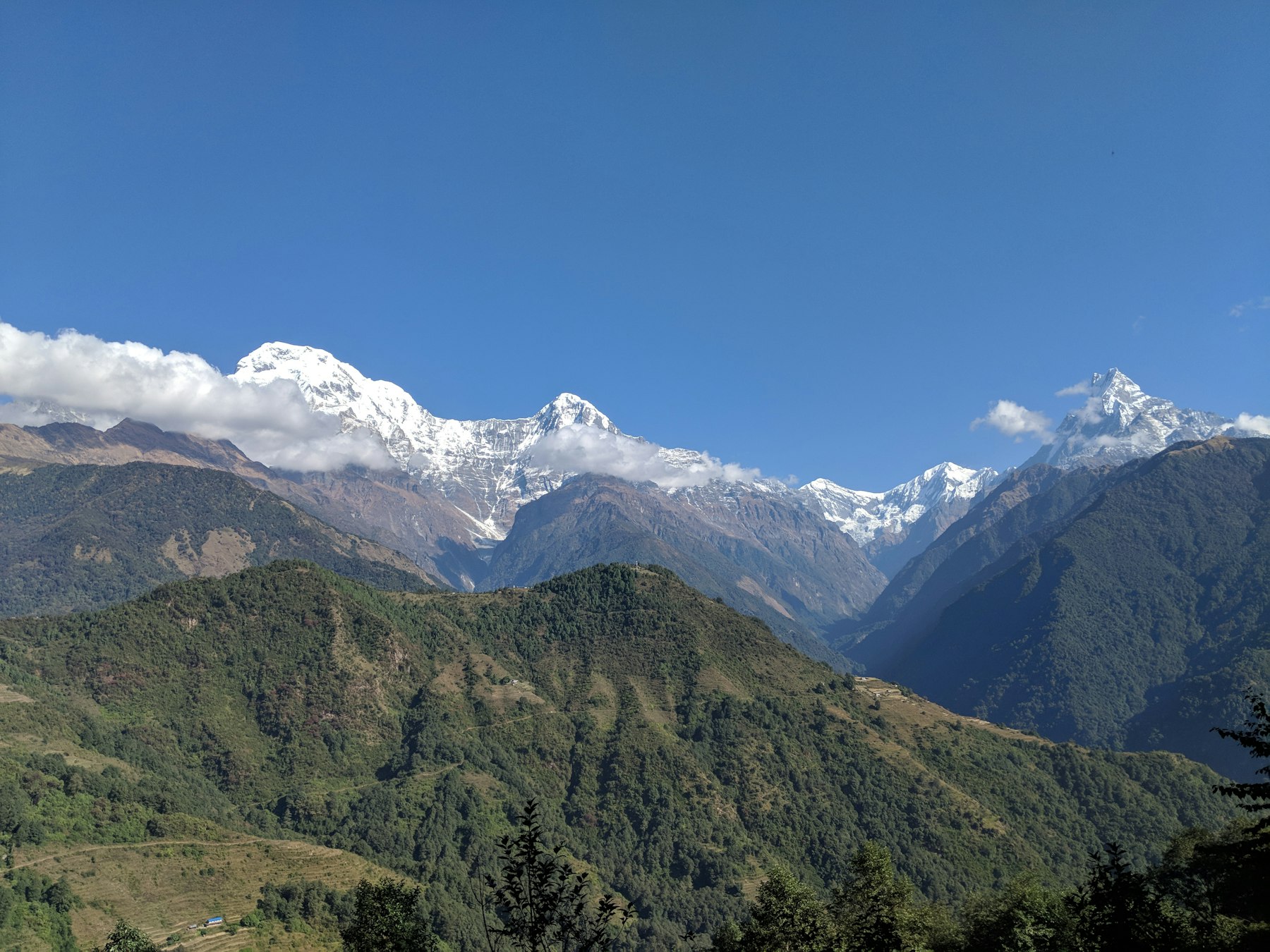 Snow peaks rising above forested ridges on the Annapurna Circuit